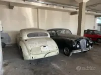 Usata Jaguar MK VII 1950 Bianco Berlina