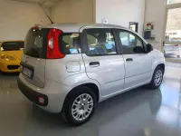 Usata Fiat Panda Easy 69 CV (50 kW) 2017 Argento Utilitaria