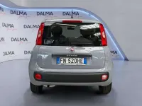 Usata Fiat Panda Pop 69 CV (50 kW) 2018 Grigio Utilitaria