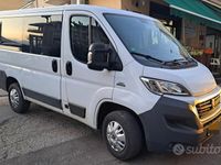 usata Fiat Ducato 2300 mj 9 posti