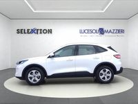 Usata Ford Kuga 120 CV (88 kW) 2022 Bianco SUV