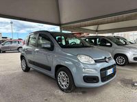 Usata Fiat Panda Easy 69 CV (50 kW) 2019 Grigio Utilitaria