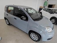 Usata Fiat Panda Easy 69 CV (50 kW) 2020 Grigio Berlina
