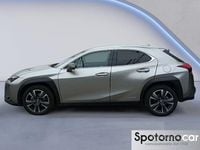 Usata Lexus UX Luxury Line 183 CV (134 kW) 2019 Grigio SUV