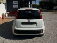 Usata Fiat Panda Easy 75 CV (55 kW) 2013 Bianco Utilitaria