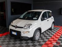 Usata Fiat Panda S 70 CV (51 kW) 2023 Bianco Utilitaria