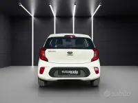Usata Kia Picanto Active 67 CV (49 kW) 2019 Bianco Utilitaria