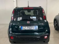 Usata Fiat Panda Cross Cross 65 CV (47 kW) 2025 Verde foresta Utilitaria