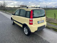 Usata Fiat Panda 4x4 69 CV (50 kW) 2006 Giallo Utilitaria