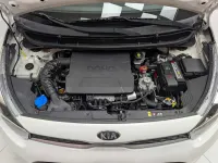 Usata Kia Picanto Urban 67 CV (49 kW) 2021 Bianco Utilitaria