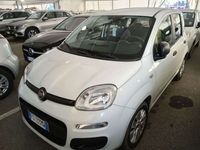 usata Fiat Panda Panda1.3mjt 16v Easy FG133MW se vuoi da 99€/m