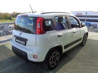 usata Fiat Panda Cross 1.0 FireFly S&S Hybrid City my 20 del 2022 usata a Castelfranco Veneto