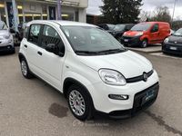 Usata Fiat Panda S 69 CV (50 kW) 2024 Bianco Utilitaria