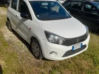 Usata Suzuki Celerio Cool 68 CV (50 kW) 2019 Bianco Utilitaria