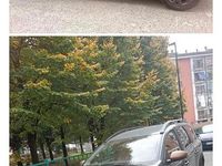 Usata Dacia Jogger 100 CV (73 kW) 2024 Verde Monovolume