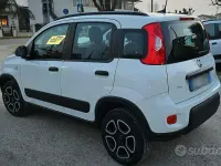 Usata Fiat Panda 80 CV (58 kW) 2021 Bianco Utilitaria