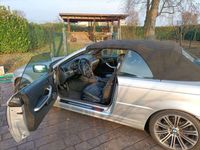 usata BMW 325 Cabriolet 325 ci