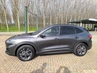 Usata Ford Kuga ST-Line 152 CV (111 kW) 2022 Grigio SUV