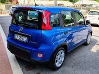 Usata Fiat Panda S 69 CV (50 kW) 2024 Blu Utilitaria