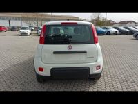 usata Fiat Panda 1.0 FireFly S&S Hybrid nuova a Massarosa