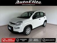 Usata Fiat Panda S 70 CV (51 kW) 2024 Bianco Utilitaria