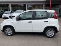 usata Fiat Panda 1.0 FireFly S&S Hybrid - PREZZO PROMO -