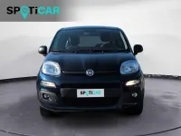 Usata Fiat Panda Easy 70 CV (51 kW) 2020 Blu Utilitaria
