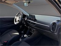 Usata Kia Picanto Urban 67 CV (49 kW) 2023 Bianco Utilitaria