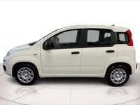 Nuova Fiat Panda S 70 CV (51 kW) 2025 Bianco gelato Utilitaria