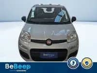 Usata Fiat Panda Easy 69 CV (50 kW) 2017 Argento metallizzato Utilitaria