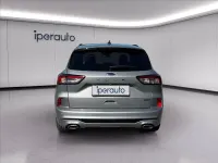 Usata Ford Kuga ST-Line X 225 CV (165 kW) 2023 Argento SUV