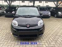 usata Fiat Panda 1.0 PROMO FINAN. 1.0 FireFly S&S Hybrid MY 24 KM 0