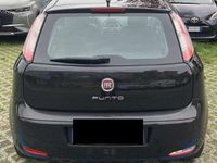 Usata Fiat Punto Lounge 69 CV (50 kW) 2014 Nero Utilitaria