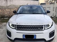 Usata Land Rover Range Rover evoque 150 CV (110 kW) 2016 Bianco SUV