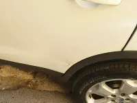 Usata Ford Kuga 136 CV (100 kW) 2008 Bianco SUV