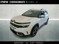 Usata Citroën C5 Aircross PureTech 131 CV (96 kW) 2020 Bianco SUV