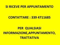 Nuova Peugeot 208 Business-Line 110 CV (80 kW) 2026 Grigio Utilitaria