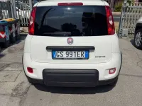 Usata Fiat Panda S 69 CV (50 kW) 2023 Bianco Utilitaria