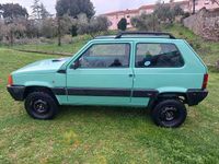 Usata Fiat Panda 4x4 Trekking 50 CV (36 kW) 2002 Utilitaria