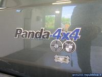 usata Fiat Panda 4x4 1.0 50 CV Sisley Fino Mornasco