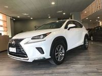 usata Lexus NX300 Hybrid 4WD Sport