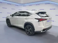 Usata Lexus NX300h Luxury Line 155 CV (114 kW) 2019 Grigio argento SUV