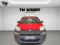 Usata Fiat Panda Pop 69 CV (50 kW) 2019 Rosso Monovolume