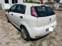 Usata Fiat Punto Street 75 CV (55 kW) 2014 Bianco Utilitaria