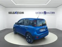 Usata Fiat Panda Cross Cross 69 CV (50 kW) 2022 Blu Utilitaria