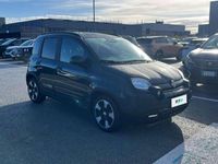 Usata Fiat Panda Cross Cross 69 CV (50 kW) 2025 Verde Utilitaria