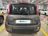 Usata Fiat Panda S 69 CV (50 kW) 2022 Grigio Utilitaria