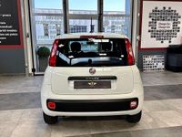 Usata Fiat Panda Easy 69 CV (50 kW) 2020 Bianco Utilitaria