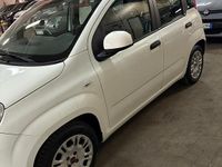 Usata Fiat Panda 69 CV (50 kW) 2018 Berlina