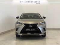 Usata Lexus NX300 197 CV (144 kW) 2021 SUV